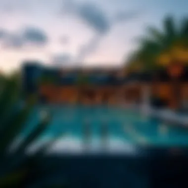 Magnificent A Comprehensive Guide to Raffles Palm