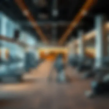Magnificent Understanding Gym Prices in Dubai: A Comprehensive Insight Magnificent Understanding Gym Prices in Dubai: A Comprehensive Insight