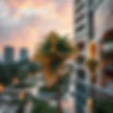 A Comprehensive Guide to Raffles Palm Introduction