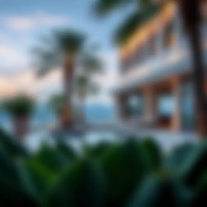 Notable A Comprehensive Guide to Raffles Palm