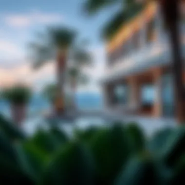 Notable A Comprehensive Guide to Raffles Palm Notable A Comprehensive Guide to Raffles Palm