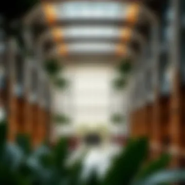 A Comprehensive Guide to Raffles Palm Summary A Comprehensive Guide to Raffles Palm Summary