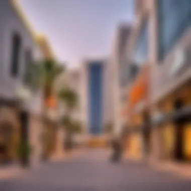 Commercial district highlighting retail opportunities in Al Shawyifat