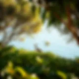 Biodiversity in Anantara Mangroves showcasing unique flora and fauna