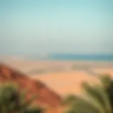 Scenic view of Bani Yas landscape showcasing natural beauty