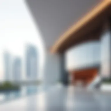 Investment potential analysis of Binghatti Vista