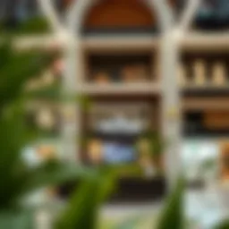 Commercial Opportunities: Exploring Shops for Rent in Silicon Oasis Introduction