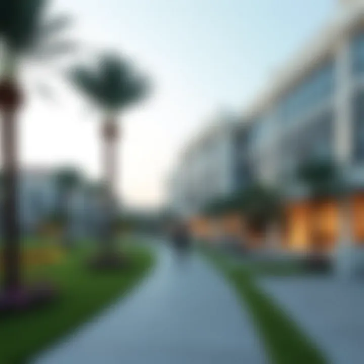 Examining LawnZ by Danube: A Comprehensive Review Summary