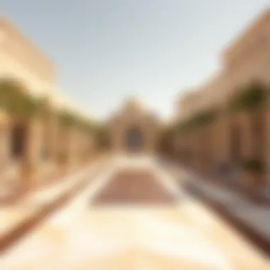 Notable Exploring Al Dhafra: A Comprehensive Insight into the UAE's Unique Region