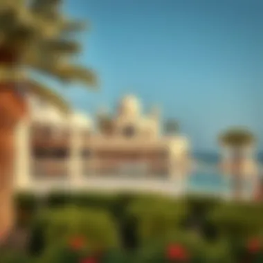 Exploring Al Hudayriat Island: Activities and Attractions Summary