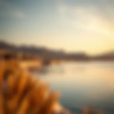 Exploring Al Qudra Lake: Timings and Practical Insights Summary Exploring Al Qudra Lake: Timings and Practical Insights Summary