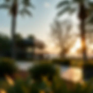 Serenity in Bayswater Parks A tranquil park in Bayswater emphasizing lifestyle and leisure