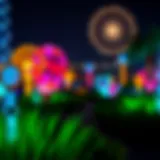 Colorful light displays at Dubai Garden Glow