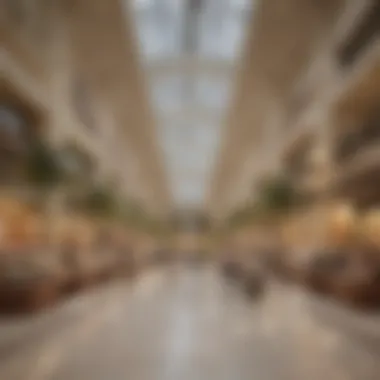 Diverse Retail Offerings at Dubai Hills Mall Diverse retail offerings available at Dubai Hills Mall