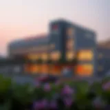Exploring Dubai Hills: The Role of American Hospital in the Community Introduction