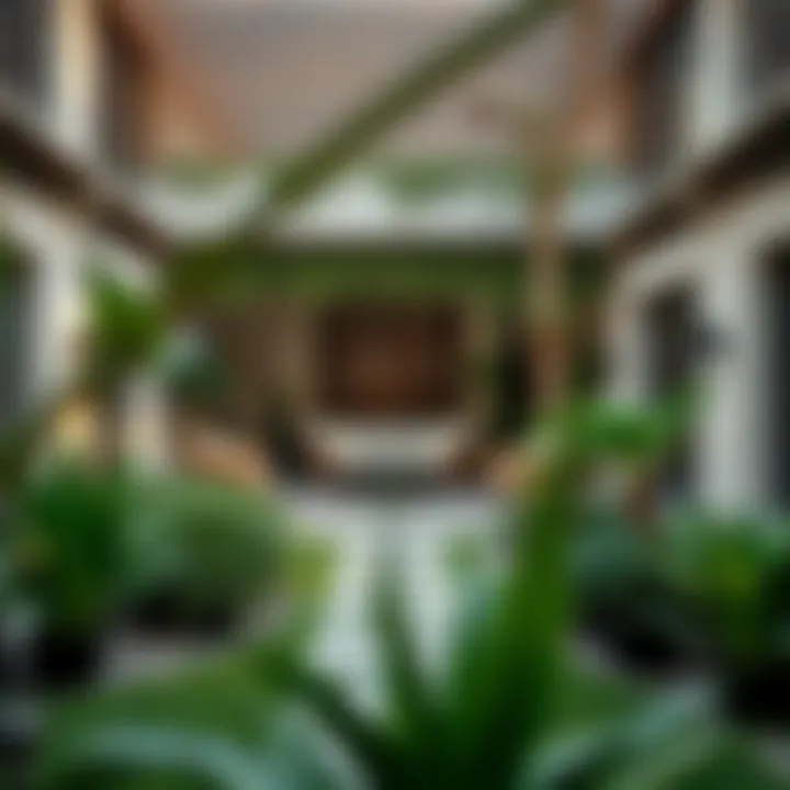 Notable Exploring Family Gardens in Dubai: The Heart of Home and Connection