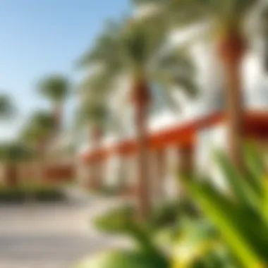 Vibrant lifestyle amenities including parks and recreational areas on Maryam Island