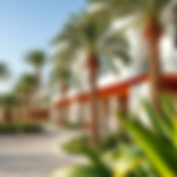 Vibrant lifestyle amenities including parks and recreational areas on Maryam Island