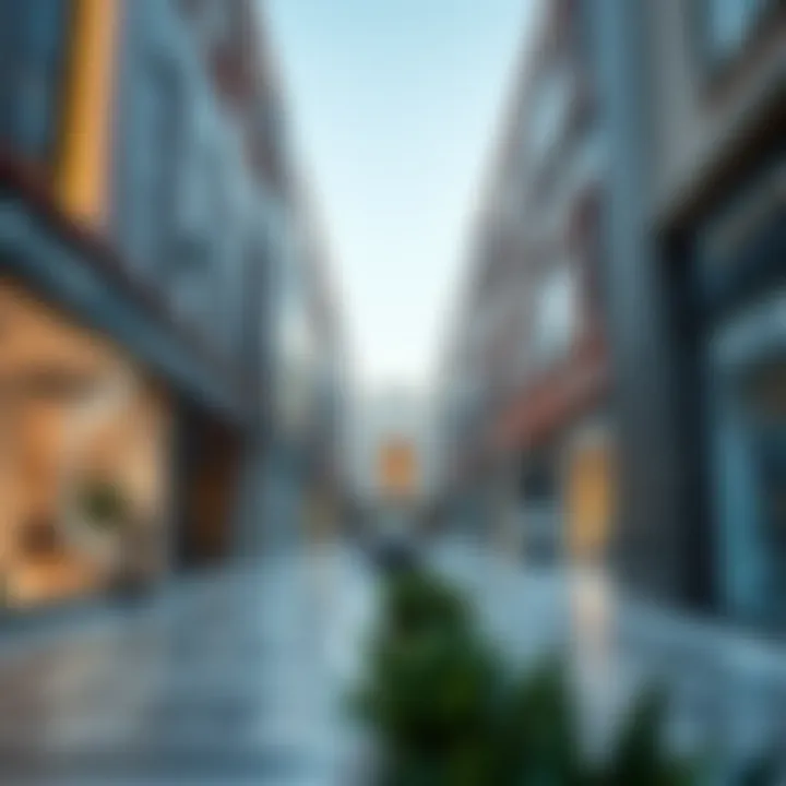 Chic Shopping Districts in Dubai Elegant shopping district filled with luxury boutiques