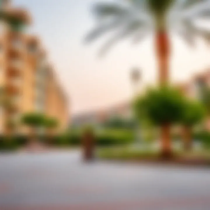 Neighborhood parks and recreational areas in Dubai