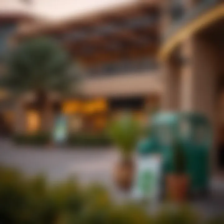 Local amenities surrounding the Damac Hills area including shopping and recreational facilities