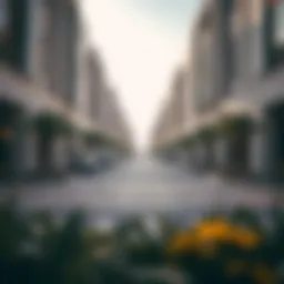 Exploring Um Suqeim: A Detailed Overview of One of Dubai's Most Sought-After Neighborhoods Introduction