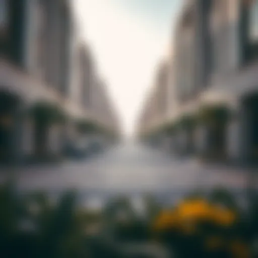 Exploring Um Suqeim: A Detailed Overview of One of Dubai's Most Sought-After Neighborhoods Introduction