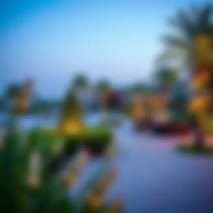 Community Amenities and Recreation Community amenities like parks and recreational areas in Ras Al Khor