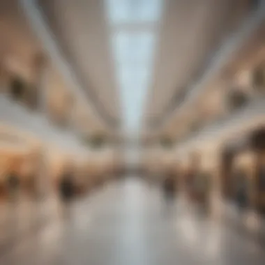 Interior shot of the retail spaces filled with diverse shopping options