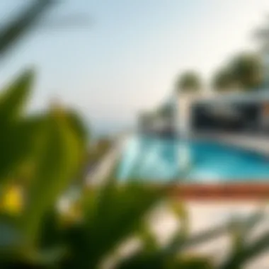 Elegant Infinity Pool Elegant infinity pool surrounded by lush greenery