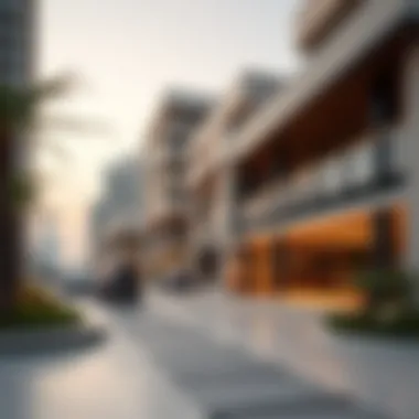 Maximizing Return on Investment in Dubai Real Estate Summary Maximizing Return on Investment in Dubai Real Estate Summary