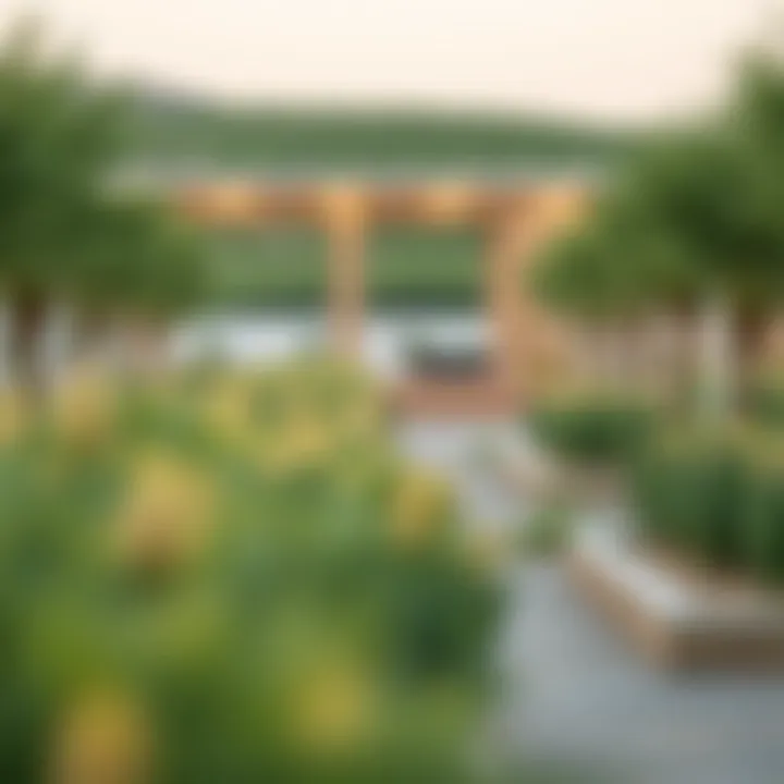 Notable Ras Al Khaimah Farm: A Comprehensive Exploration of Agrarian Innovations and Sustainable Practices