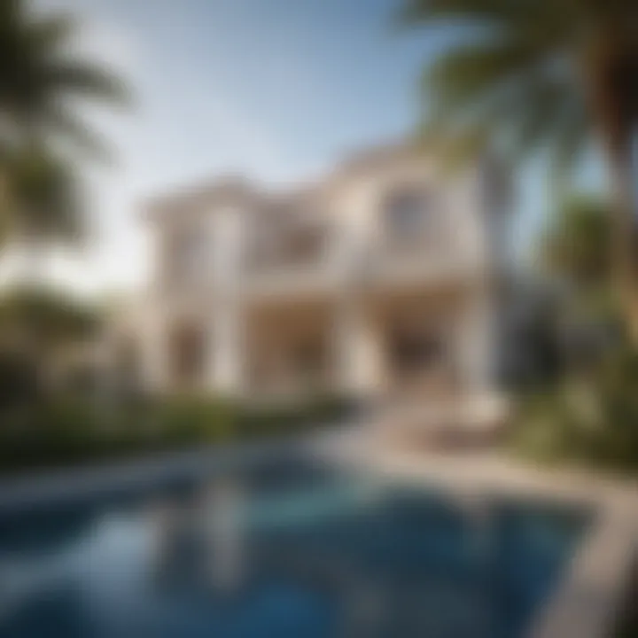 Modern villas and luxury properties on Sir Banyas Island