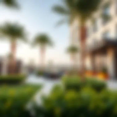 An inviting outdoor area at The Hive that highlights its landscaping and recreational facilities for residents.