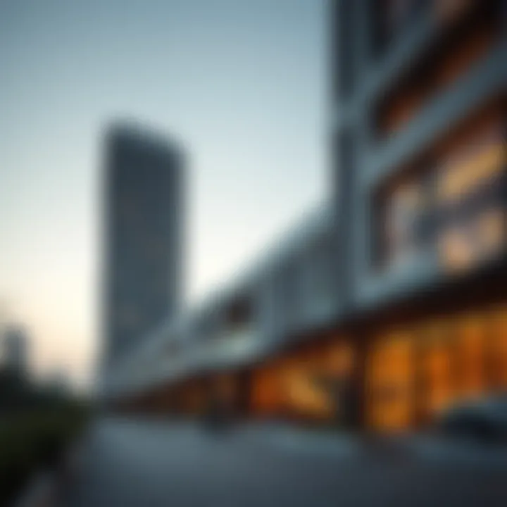 Overview of Sonapur's vibrant community