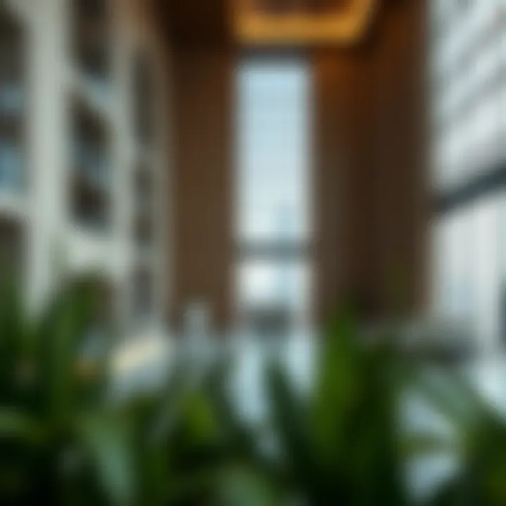 Notable Understanding the Implications of Unfurnished Properties in Dubai's Real Estate Market