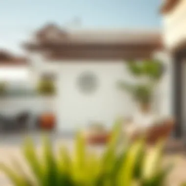 Functional Outdoor Area Functional outdoor area in Springs 3E