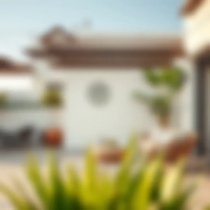 Functional Outdoor Area Functional outdoor area in Springs 3E