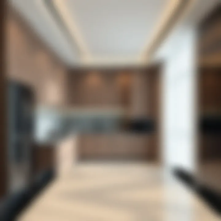 Modern Kitchen Design Modern kitchen design in Springs 3E