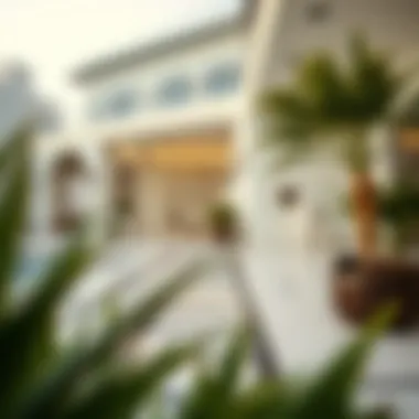 Visa categories in the UAE