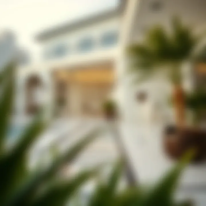 Visa categories in the UAE