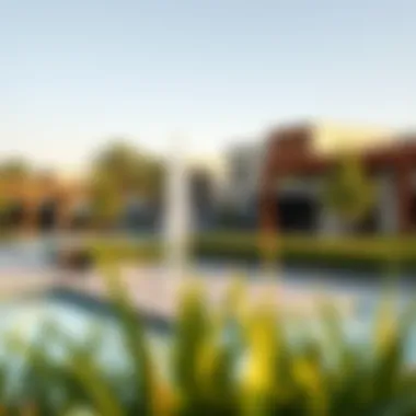 Community amenities at Vida Hills, featuring recreational areas and social spaces for residents.